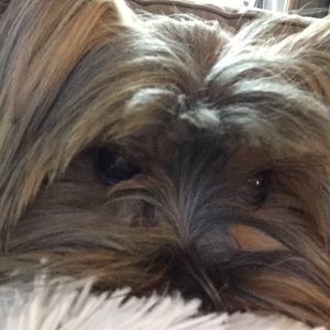 Meet your Posher, Laura